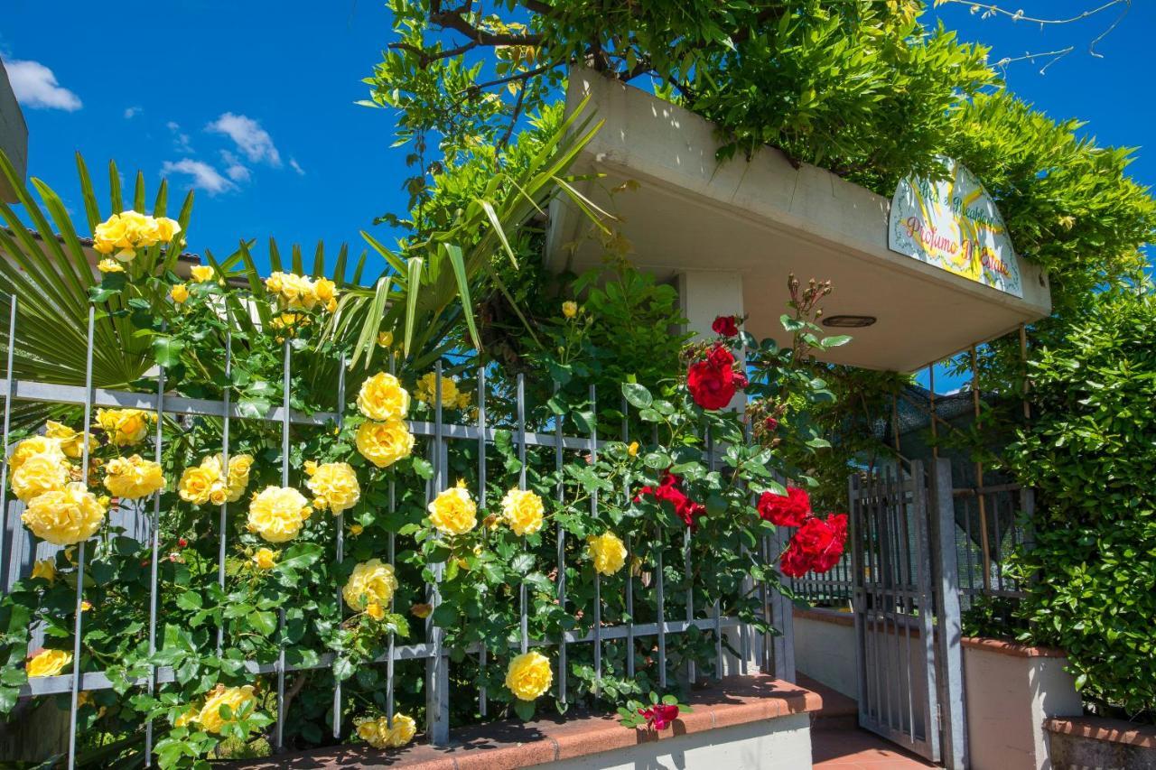 Bed & Breakfast Profumo D'Estate Agliana Exterior foto